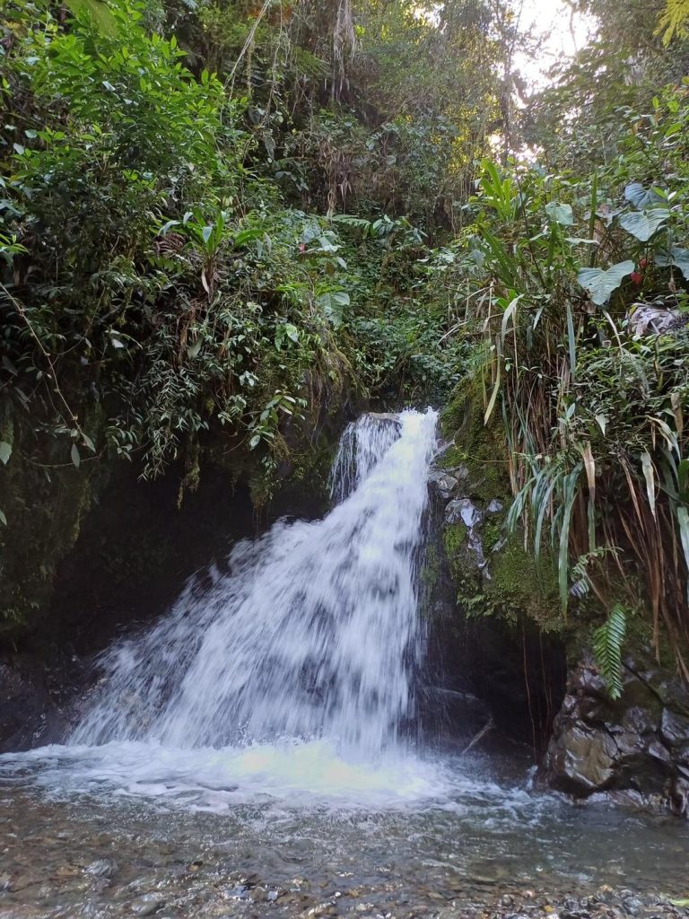 Cascada y río de montaña en la zona de Felidia, cerca de Cali