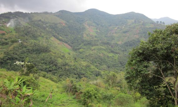 Cerros verdes cerca de cali, zona de Felidia